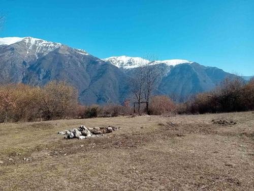 North Macedonia Other | CASA Petra- tent