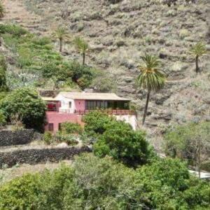 Lomito Fragoso y Honduras House | Casa Rural Rincón del Olivo