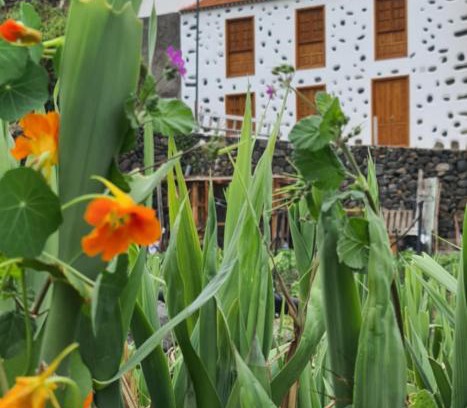 Hermigua House | CASA RURAL ANTIGUA ESCUELA I