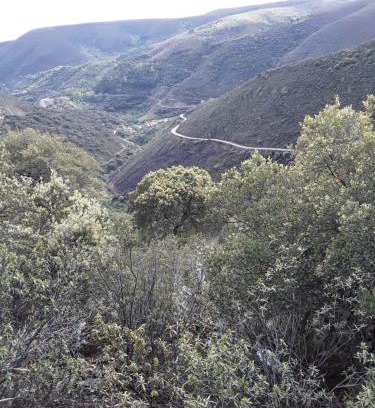 San Miguel de Valero House | Casa Rural Costanilla