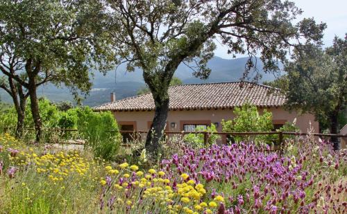 Los Navalucillos House | Casa Rural La Joyona