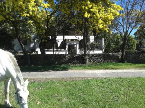 Tejeda de Tietar House | Casa Rural La Vallejera