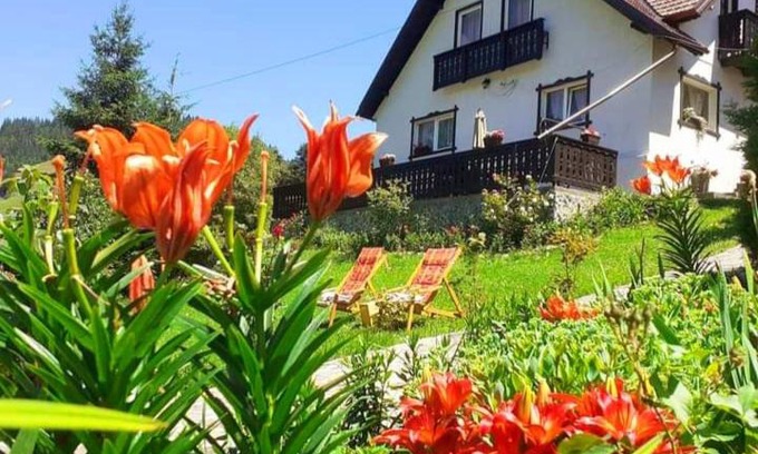 Moeciu de Sus House | Casa Victoria