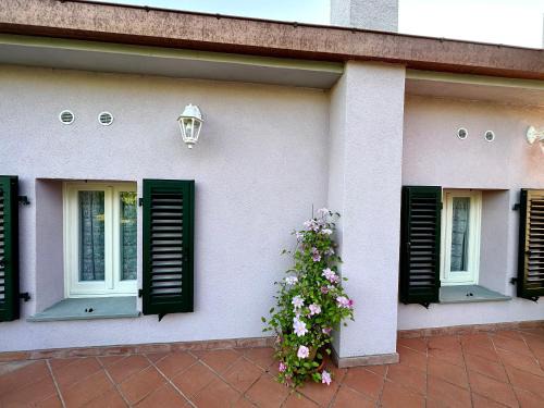 Pieve Fosciana Apartment | Casa vista lago la Rosella