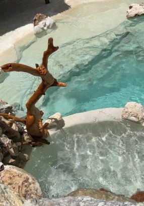 Yucatan Peninsula Villa | Casa Yaxunah