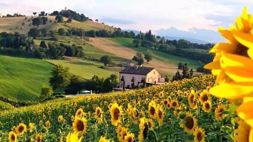 Santa Maria d'Alto Cielo Bed & Breakfast | Casale delle Rondini