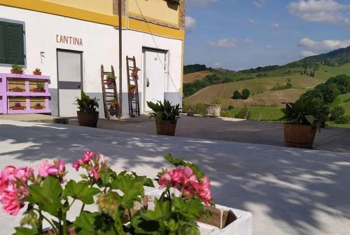 Casteggio House | Cascina Angelina