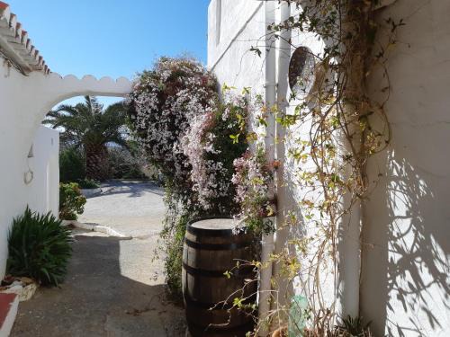 Rubite House | Casita Tomate
