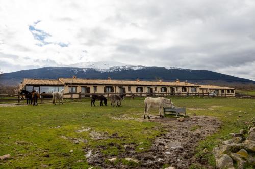 Santo Tome del Puerto House | Casitas Granja El Enebral
