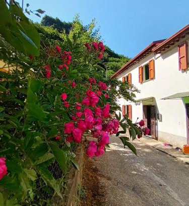 Fabbriche di Vergemoli House | CASOLARE TROMBACCO