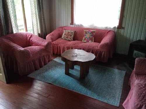 Pucon House | Casona suyai caburgua