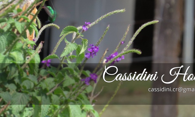 Monteverde Bed & Breakfast | * Cassidini House *
