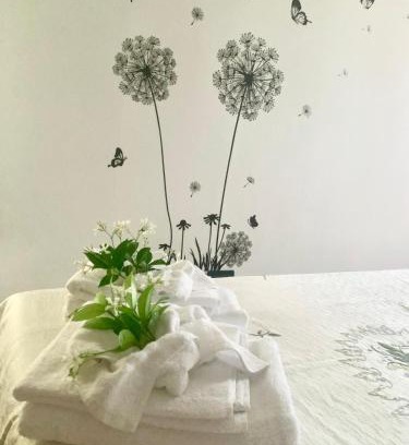 Castello d'Aviano Apartment | Castelletto