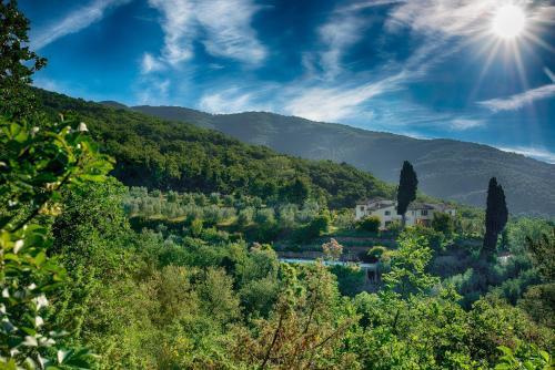 Castiglion Fibocchi House | Castellina di Bocco