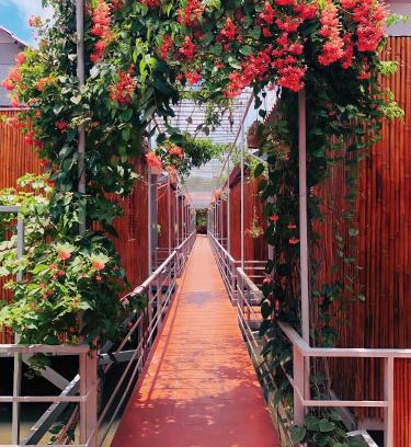 Phong Dien House | Cato Homestay