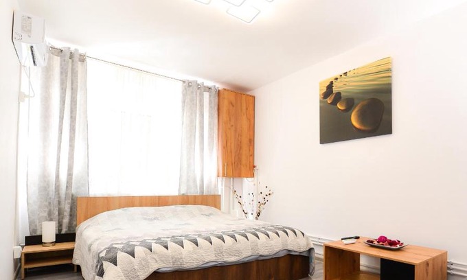Hateg Apartment | Central Grey Studio Hateg