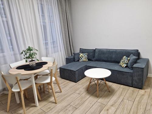 Rybnik Apartment | Central Platinum Apartments 7