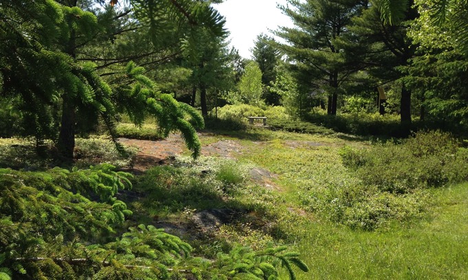 Bar Harbor Cottage | Central Yet Secluded Cottage In Heart Of Mt. Desert Island