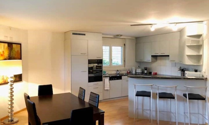 Hoengg Apartment | Centrally located, Spacious Modern Apartment