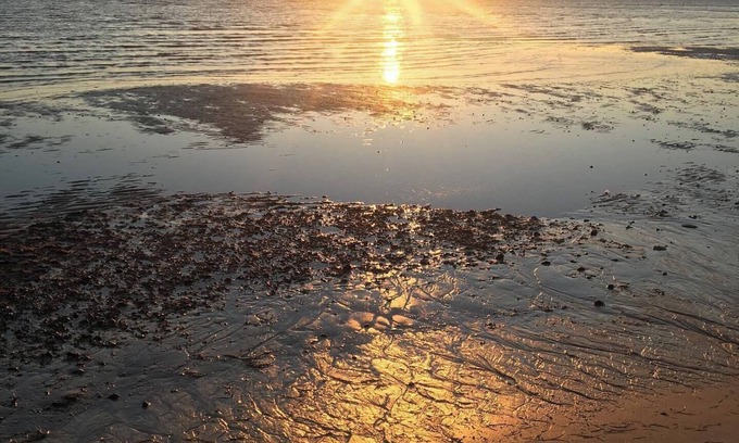 Panacea Cottage | Centrally located to fishing, biking, hiking, beaches, and seafood restaurants.