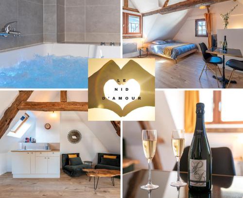 Rouen City Centre Apartment | Centre-ville le nid d'amour jacuzzi appartement