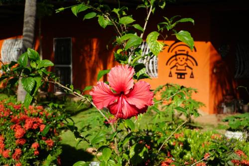 Managua House | Chakana Yoga Homestay
