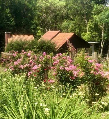 Guarapuava House | Chalé com Vista para Vinhedo e Natureza