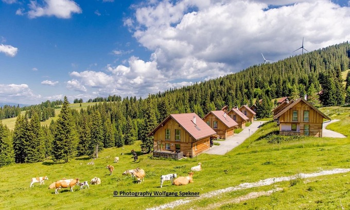 Frantschach-Sankt Gertraud House | Chalet in Alps with Private Sauna