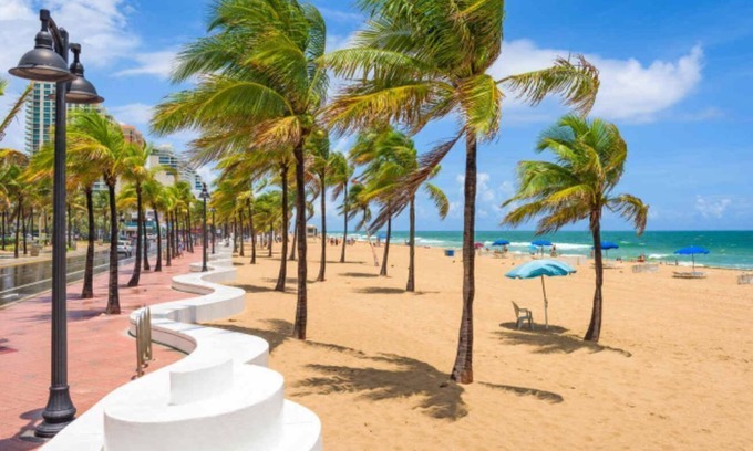 Colee Hammock Apartment | Chalet at Victoria Park Downtown Fort Lauderdale-One Bedroom Apartment 7