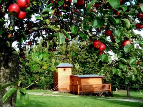 Radon House | Chalet en forêt avec terrasse, pêche, baignade, et proximité chemins de randonnée - Normandie - FR-1-497-184