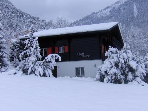 Ried-Brig Apartment | Chalet Esher Surrey