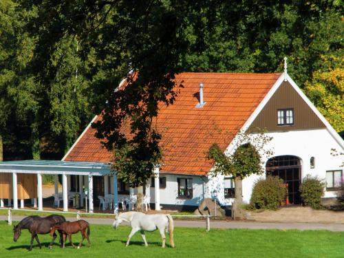 Ootmarsum Ski Chalet | Chalet in Overijssel with Spacious Terrace