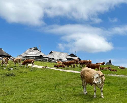 Kamnik House | Chalet Korosica Velika Planina