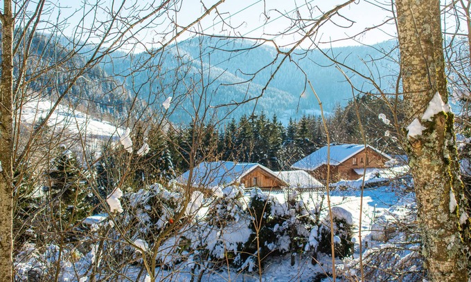 Ventron Ski Chalet | chalet le bouquetin