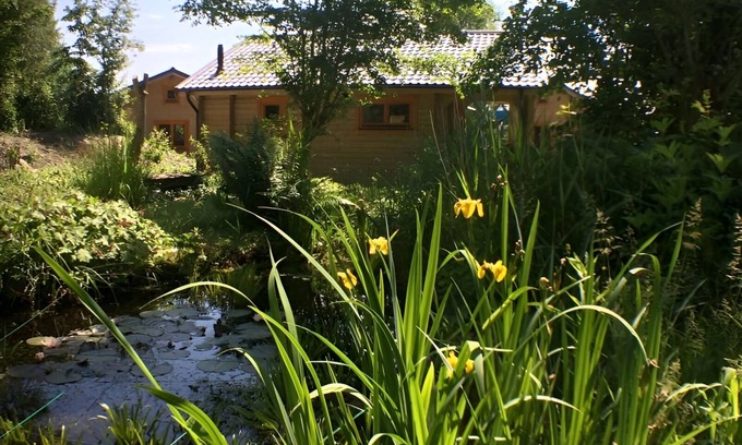 Zoutkamp Ski Chalet | Chalet Long-eared Owl on small-scale nature campsite 't Ol Gat