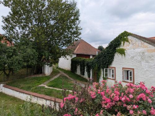 Vodnany Apartment | Chaloupka u Mostu sv Jana v centru Vodňan