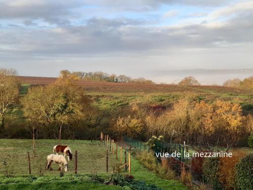 Divatte-sur-Loire Bed & Breakfast | Chambre de la Divatte