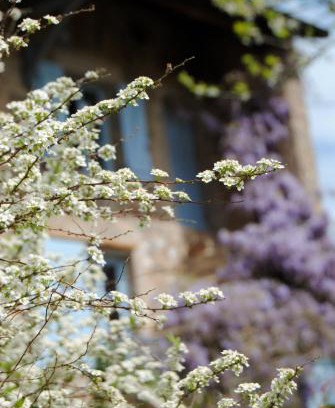 Trivy Bed & Breakfast | Chambre privative et originale, à 20 mn de Cluny
