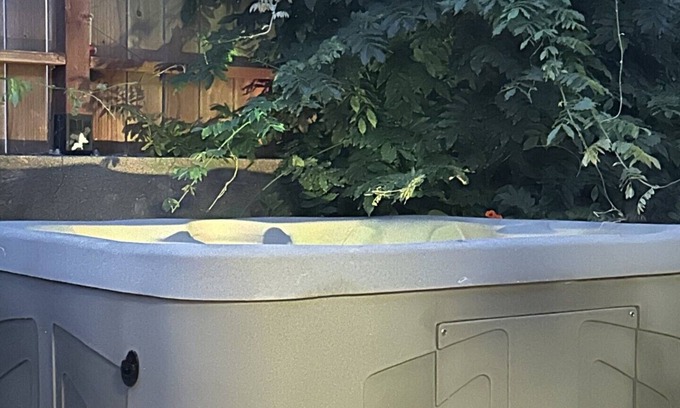 Chapel Hill House | Chapel Hill/Durham Retreat; hot tub, massage chair, massaging shower.