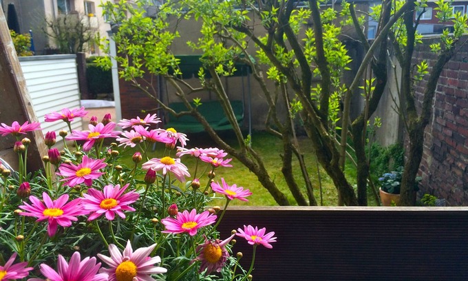 Duissern Apartment | Charmant is centrally located, close to uni