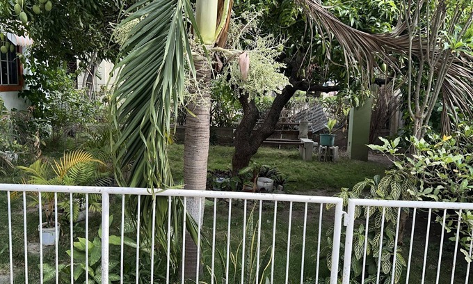 Kingston House | Charming 1-bedroom house in delightful Kingston with WiFi