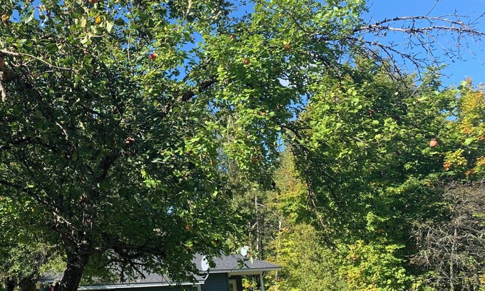 Champion House | CHARMING 2-BDR HOUSE MINUTES FROM LAKE MICHIGAMME! RENOVATED, CLEAN, WITH A/C!
