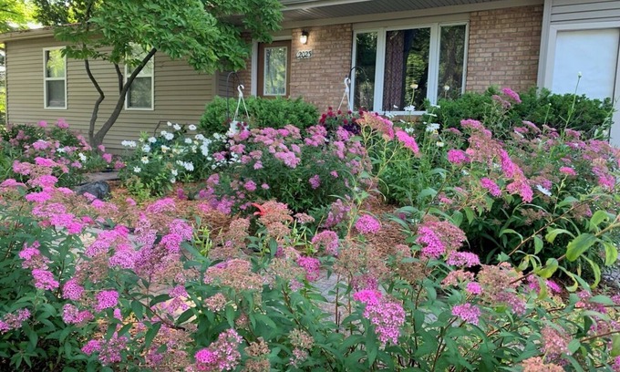 Mount Pleasant House | Charming 3-bedroom home in Mt Pleasant near colleges, Casino and children parksn