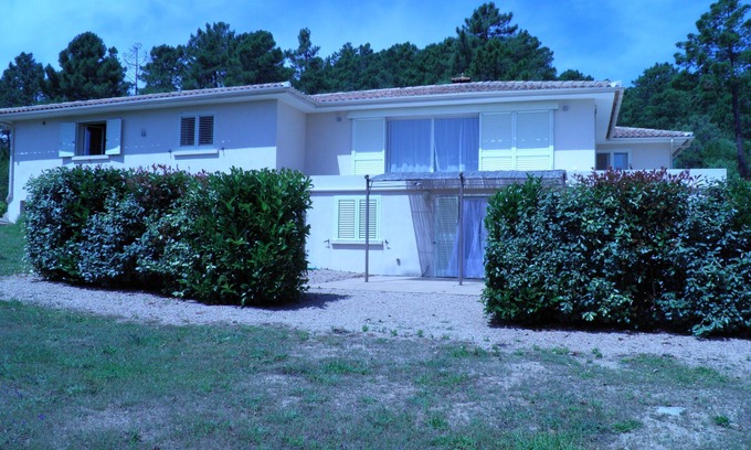 Lecci Apartment | Charming apartment in peaceful villa near Porto-Vecchio