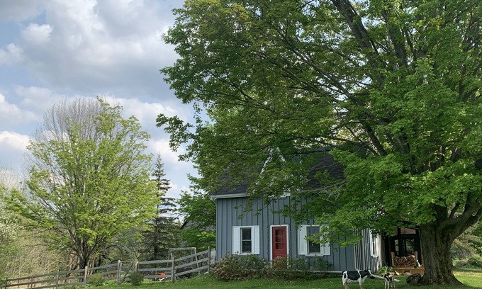 Grey Highlands Other | Charming Beaver Valley Farmhouse - Recently renovated family getaway