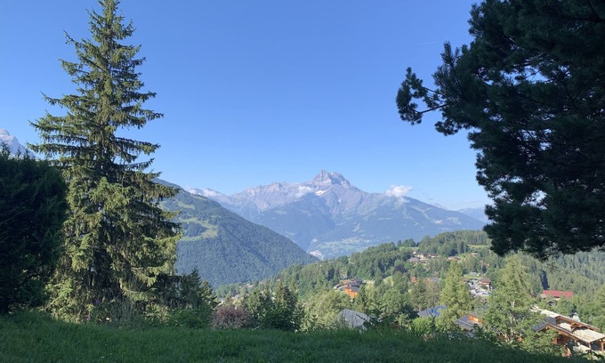 Barboleusaz Ski Chalet | Charming chalet on the slopes!