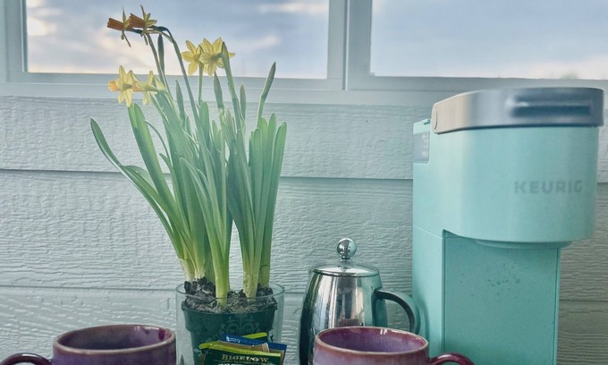 Blodgett Mills Cottage | Charming Clover Creek Inn, On Summerhill Brewing