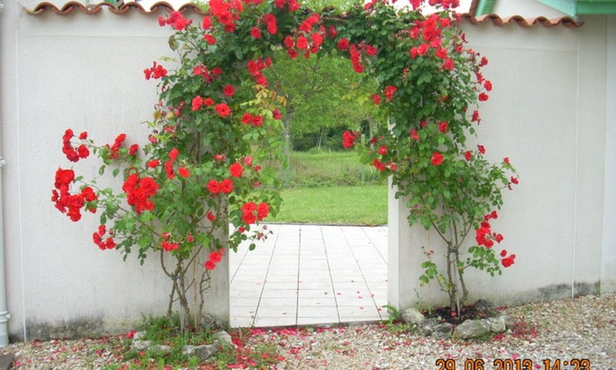 Saint-Meard-de-Drone Cottage | Charming house with terrace, enclosed garden, and pets allowed