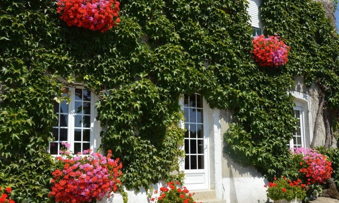 Doville Cottage | Charming House in Peaceful Normandy Countryside, Near Beaches, Pet-Friendly, and Full Amenities
