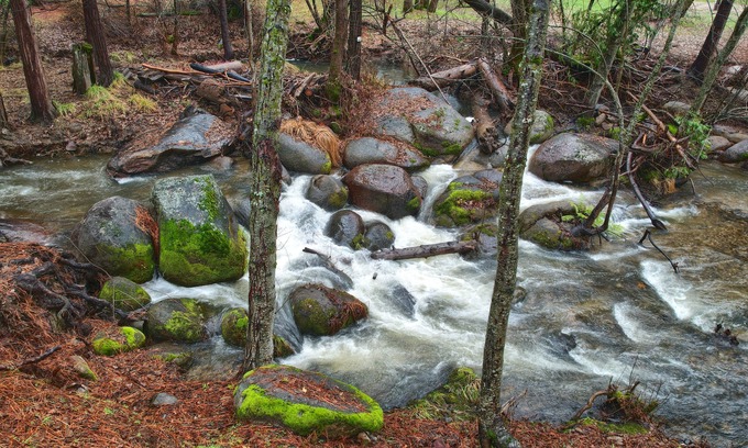Oakhurst House | Charming house near Yosemite with a Creek